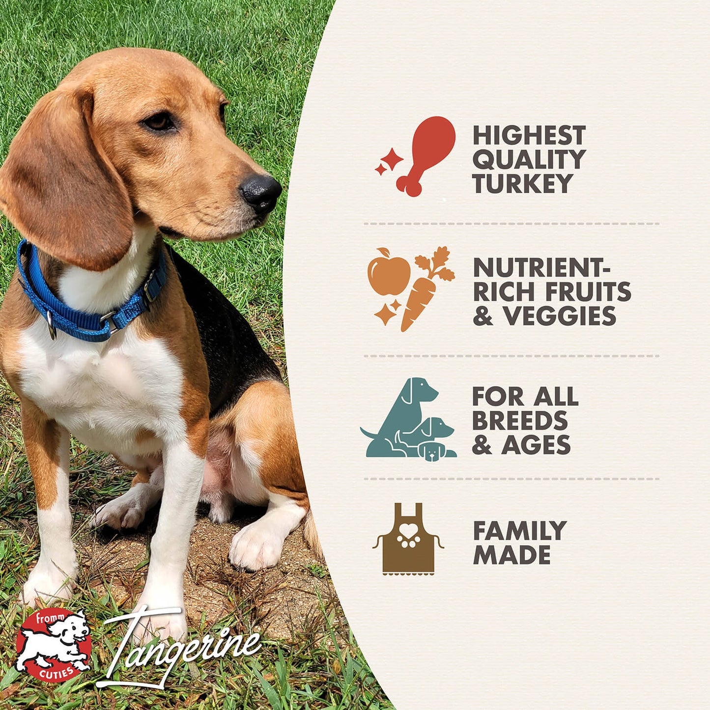 Fromm Four Star Grain Free Game Bird Dry Dog Food