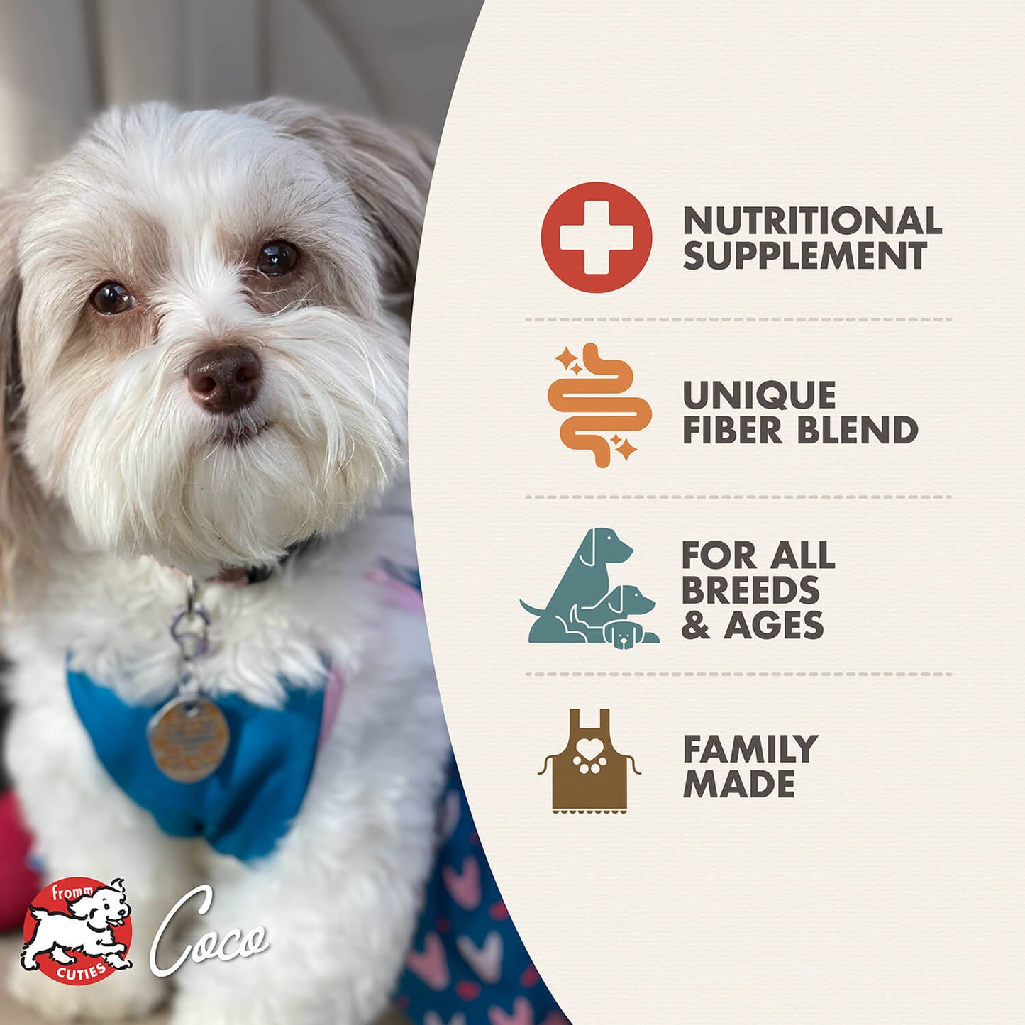Fromm Family Nutritionals Chicken Formula Canned Dog Food 12.2 oz