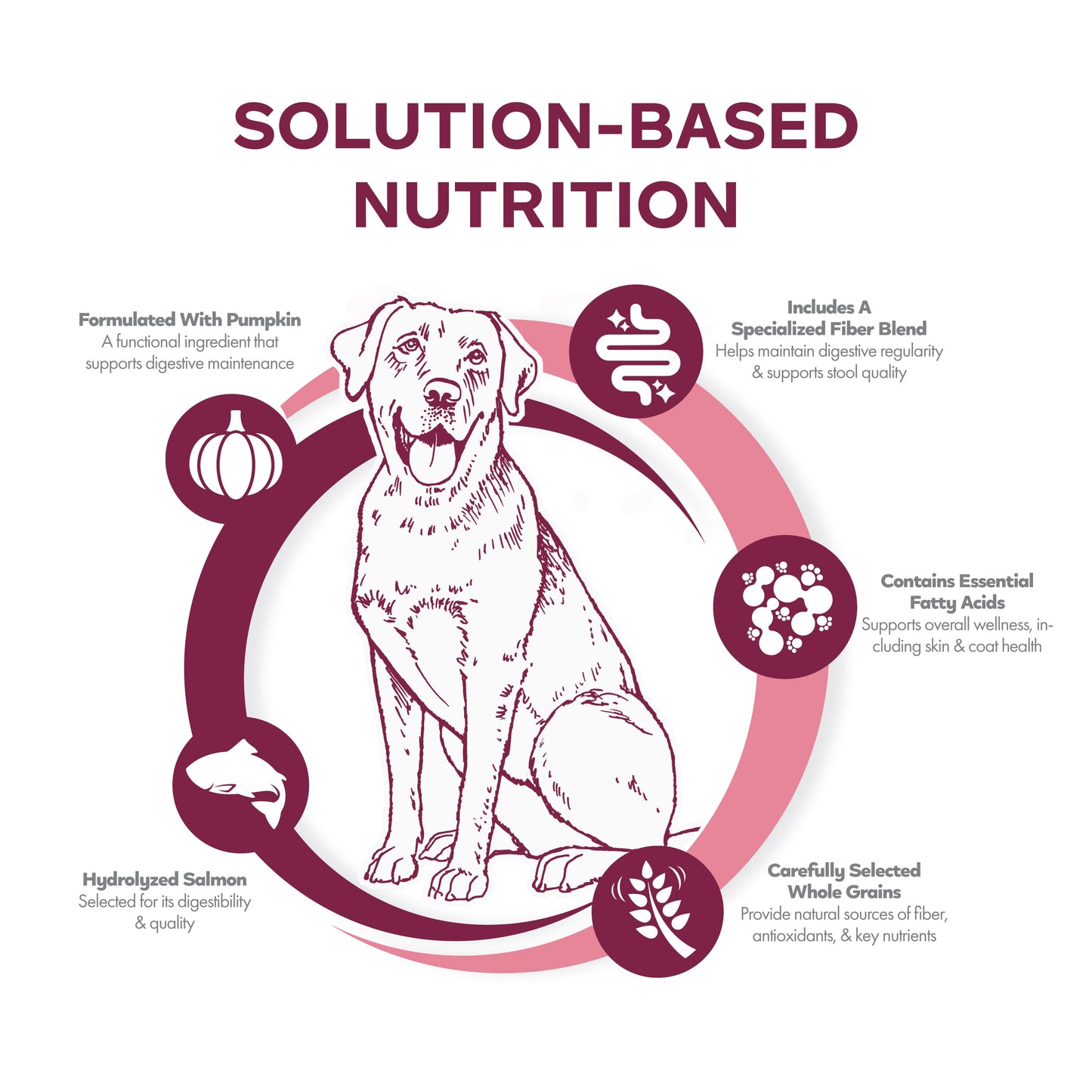 Fromm Nutritionals Sensitive Skin & Stomach Salmon & Whole Oats Recipe Dog Food