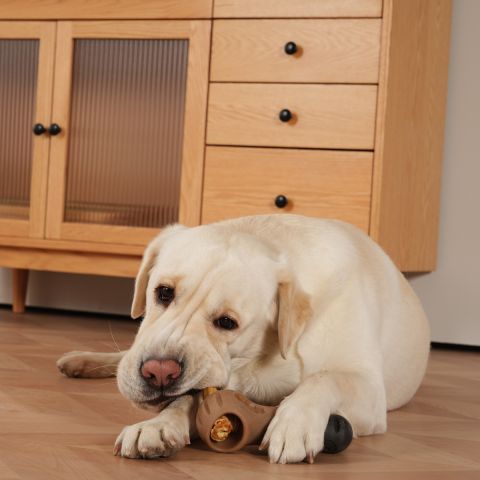 Territory Dog Treat Lock Bacon