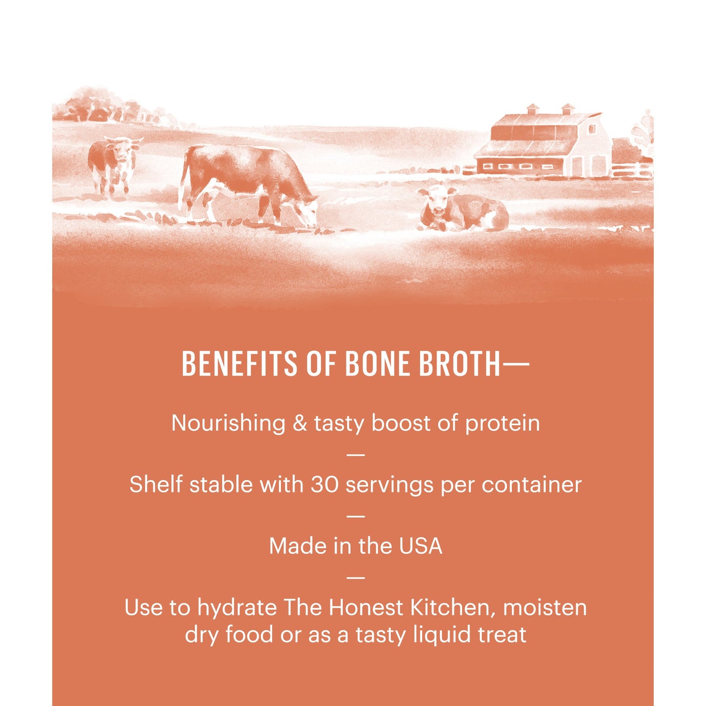 Honest Kitchen Beef Bone Broth Singles 1.48 oz