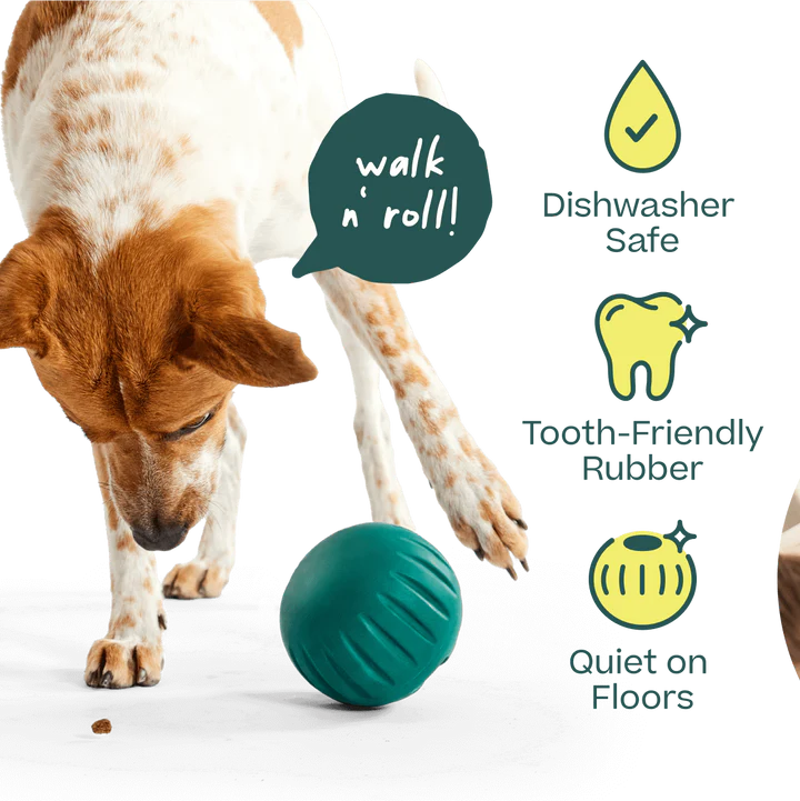Woof Forager Walkabout Ball