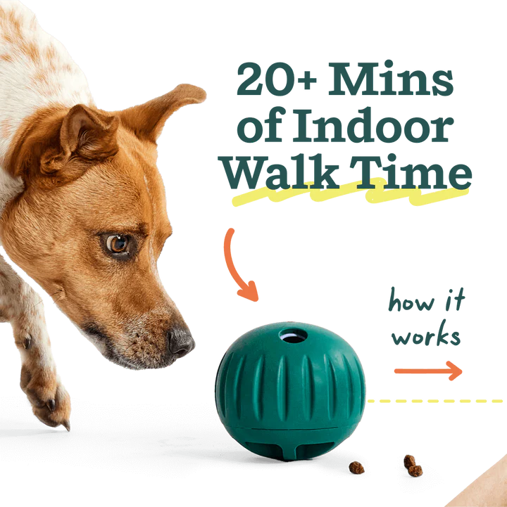 Woof Forager Walkabout Ball