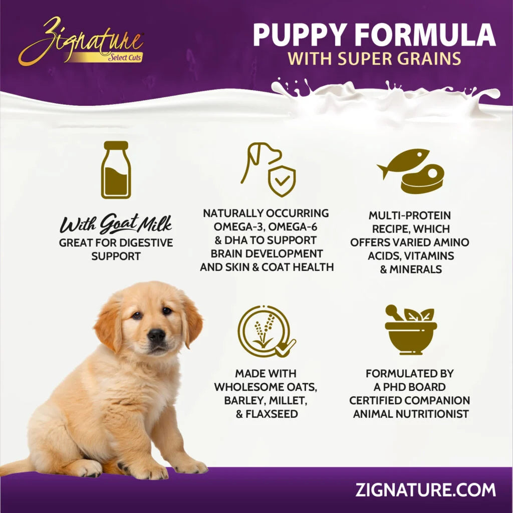 Zignature Select Cuts Puppy Formula w/ Super Grains
